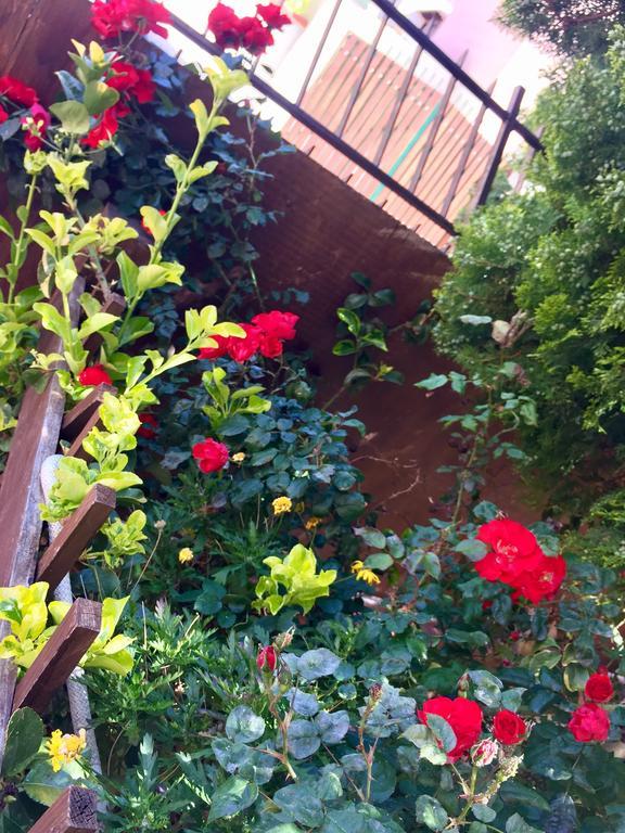 B&B Limone San Leone Exterior foto